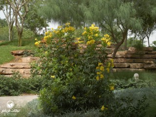 image name