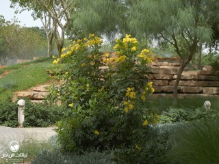 image name