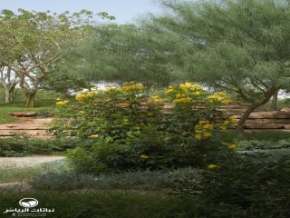 image name