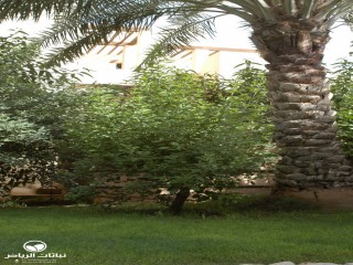 image name