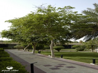image name