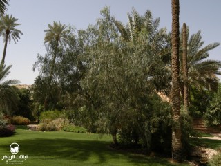 image name