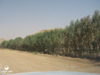 image name