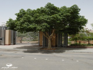 image name