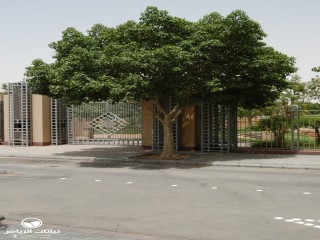 image name
