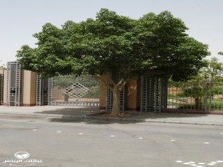 image name