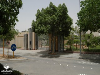 image name