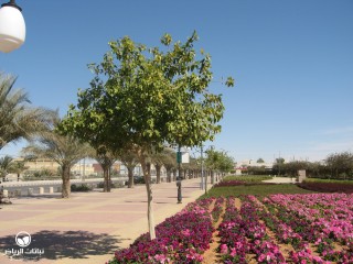 image name