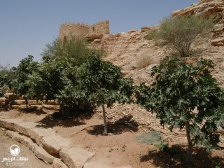 image name