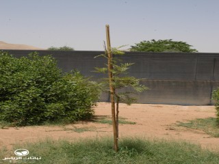 image name