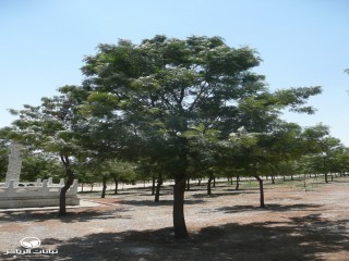 image name