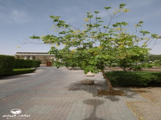 image name