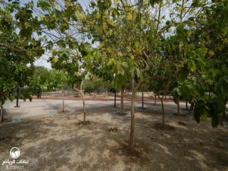 image name