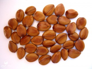 image name