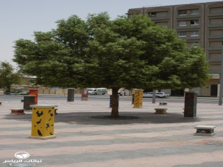 image name