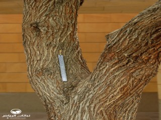 image name