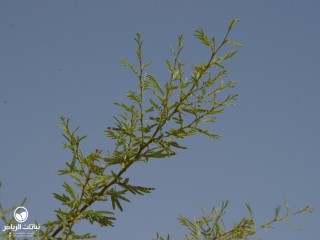 image name