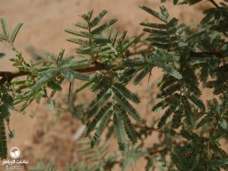 image name