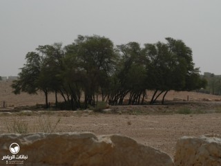 image name