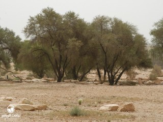 image name