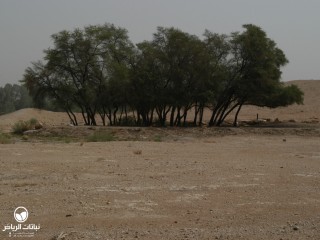 image name