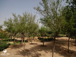 image name