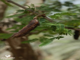 image name