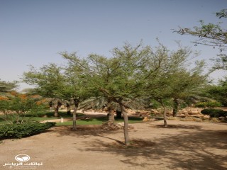 image name