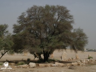 image name