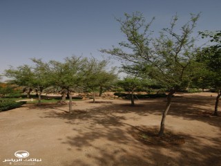 image name