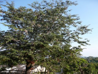 image name